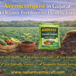 Vermicompost in Gujarat Best Organic Fertilizer for Healthy Farming