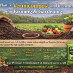 What is Vermicompost and Its Benefits for Farming & Gardening