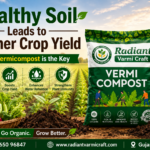 Healthy Soil Leads to Higher Crop Yield